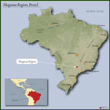 BRAZIL MOGIANA