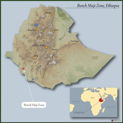 Ethiopia Bench Sheko 2 Washed