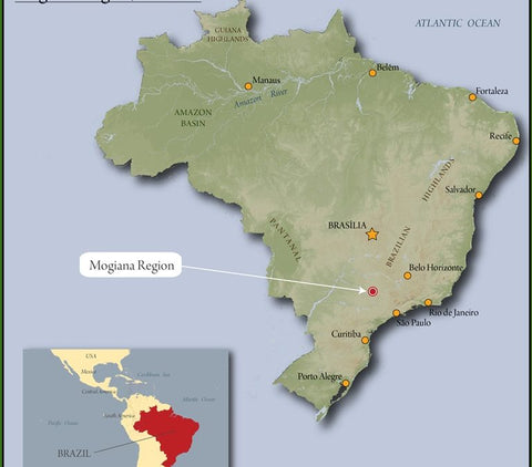 BRAZIL MOGIANA